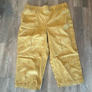 Lane Bryant capri size 18